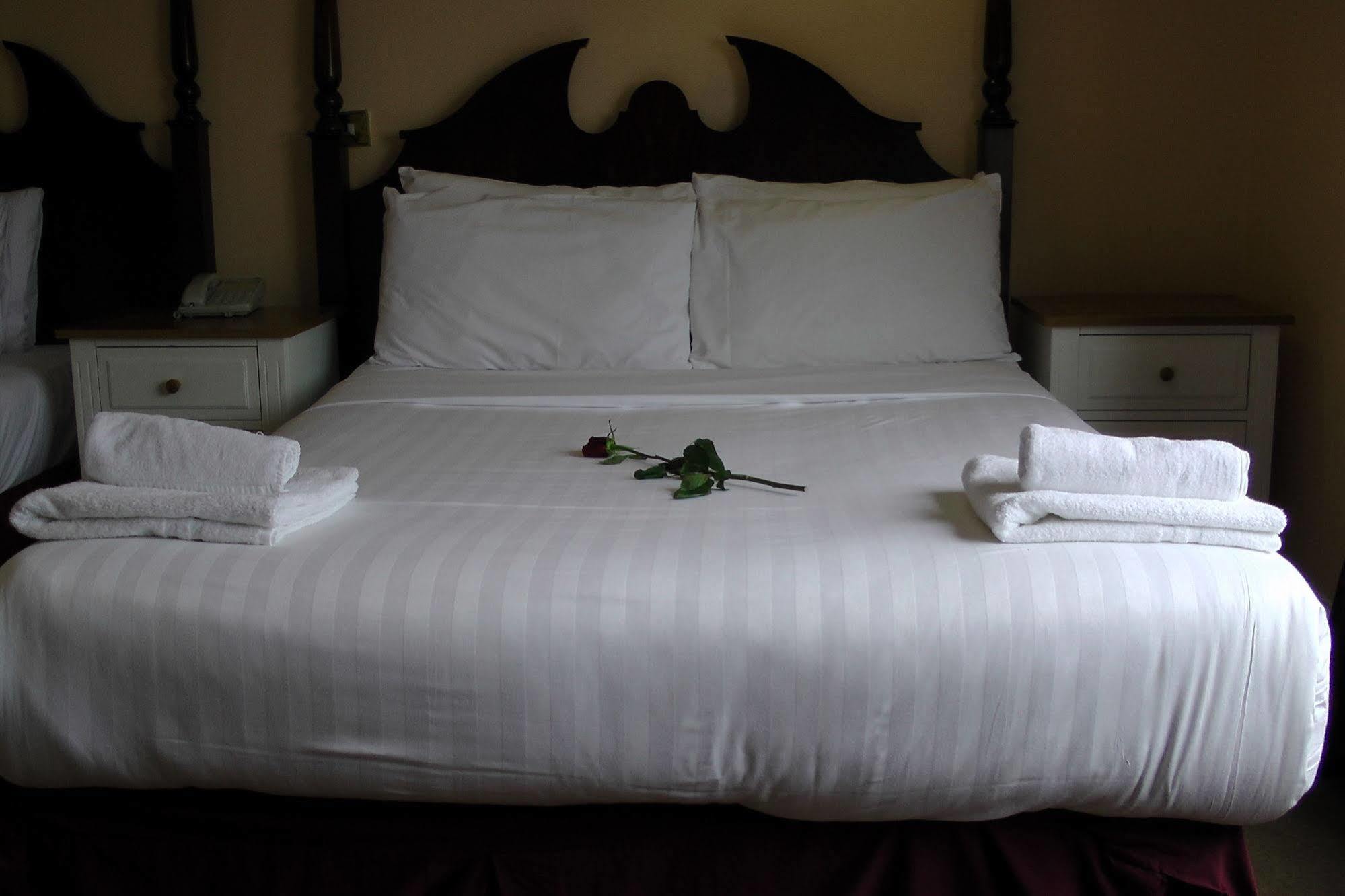 Shamrock Inn Hotel Lahinch Eksteriør billede