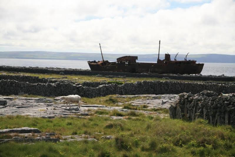 Shamrock Inn Hotel Lahinch Eksteriør billede